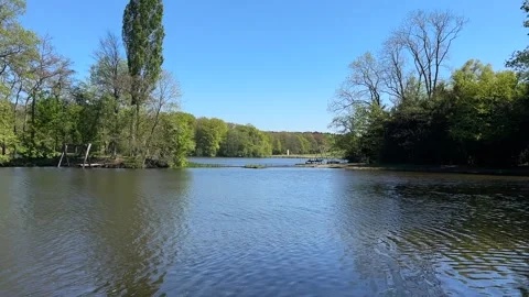 Amsterdan Forest, Amsterdam forest lakeside panorama with weathered wooden Vidéo 342751650