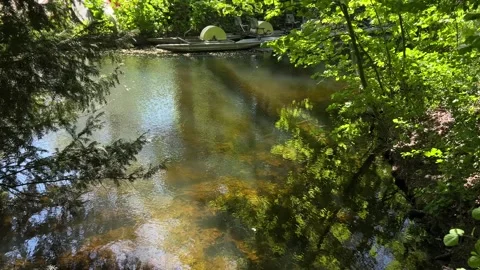 Amsterdan Forest, Amsterdam forest pond panorama with docked pedal boats Stock Footage 342755499