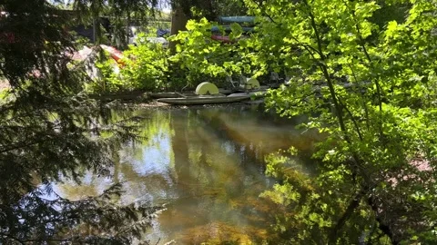 Amsterdan Forest, Amsterdam Forest, shallow woodland stream with gentle Stock-Footage 342754346