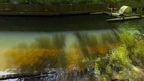 Amsterdan Forest, Amsterdan forest river cascade over shallow step, rippling Stock-Footage 342752894