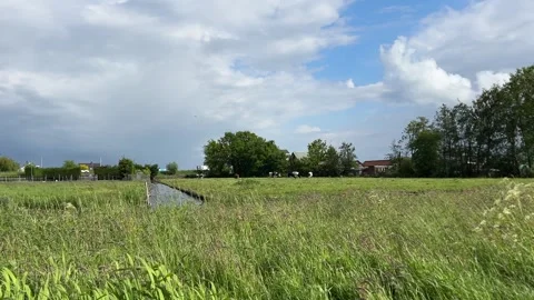 Amsterdan Forest, Grass field no action observed, in open field with trees and Stock Footage 342752339