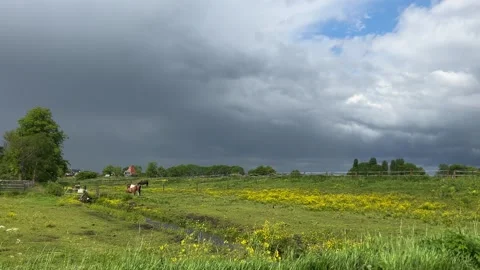 Amsterdan Forest, Grassland with trees and clouds no visible action or 스톡 동영상 342753445