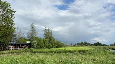 Amsterdan Forest, serene grass field observed from slightly elevated aerial Stock-Footage 342752748