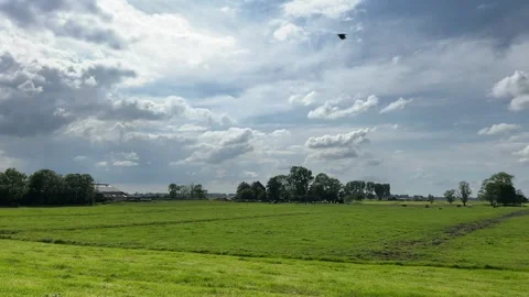 Amsterdan Forest, serene open field in sunny meadow with scattered clouds and Stock Footage 342752073