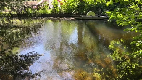 Amsterdan Forest, Sunlit forest stream with rippled reflections, shallow clear Stock-Footage 342755040