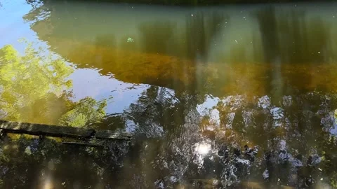 Amsterdan Forest, Sunlit shallow river surface with ripples, foam, amber Stock-Footage 342753053