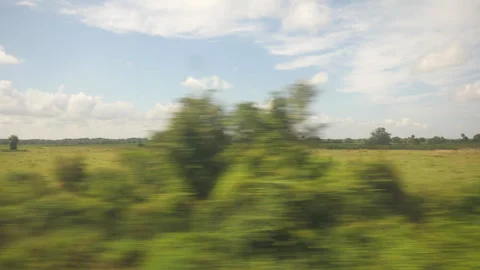 Amtrak Train Heading Toward Sebring, Florida Stock Footage 284777083