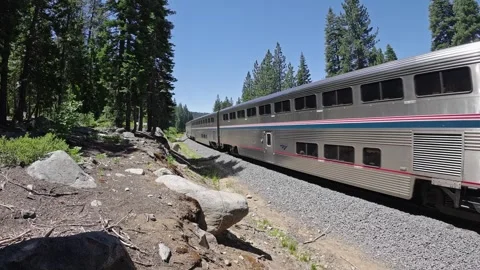 An Amtrak train speeds along tracks surrounded by forest Vidéo 340466871