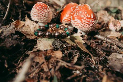 Amulet lying on a green moss with fly agaric on a dark natural background. pa Stock Photos