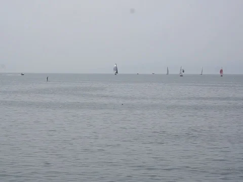 This Amur Bay Vídeo Stock 78261748