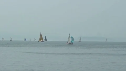 Amur regatta Vídeo Stock 78261011
