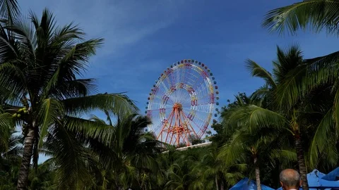 Amusement park on the background of palm trees. Ferris wheel on the backgroun Video stock 108737454
