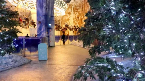 Amusement park with Christmas trees Stock Footage 268583687