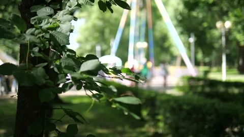 Amusement park. Stock Footage 312231938