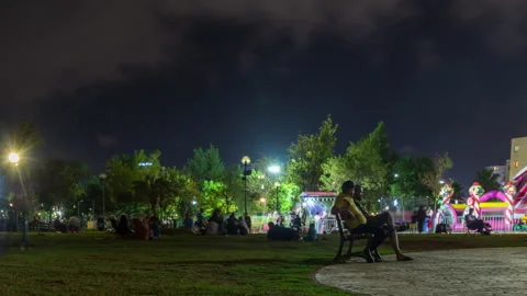 Amusement Park At Night Timelapse Stock-Footage 219387161