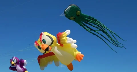 Amusing large kites, yellow parrot, purple bird, green octopus Stock Footage 66781701