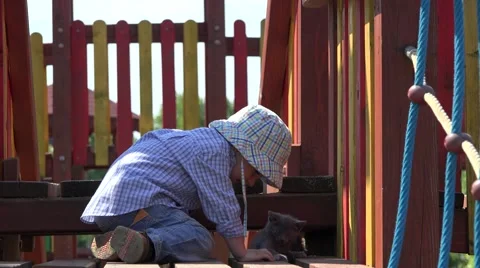Amusing little boy playing with little cat on playground 4K Stock Footage 46205824