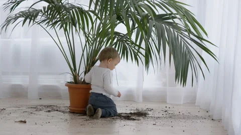Amusing little child take out soil from flower pot , dirty home floor, boring  Stock-Footage 133345492