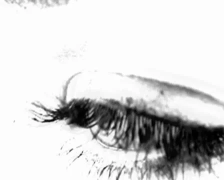 Amyeye B&amp;W 库存影片 8997205