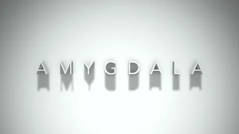 Amygdala 3D title animation with shadows on a white background Stock Footage 297054503
