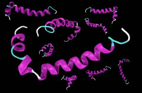 Amyloid beta (Abeta). It is as a component of the amyloid plaques found in Stock Illustration