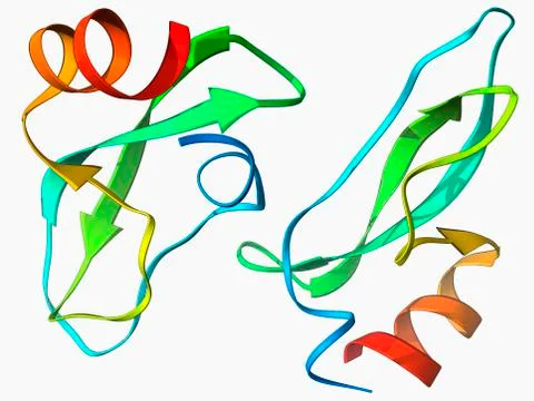 Amyloid precursor protein molecule Stock Illustration
