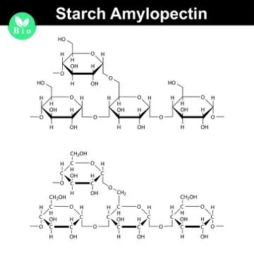 Amylopectin polymer molecular structure Stock Illustration