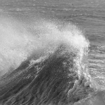 Amzing image of individual wave breaking and cresting during violent windy st Stock-Fotos