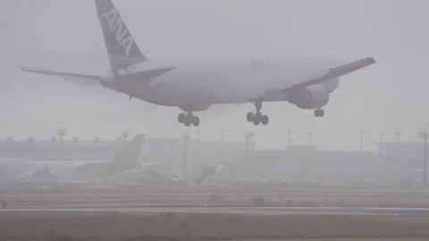 ANA Boeing 767 Freight Cargo Airplane Landing in Dense Fog, Tokyo Narita Airport Stock Footage 239039026