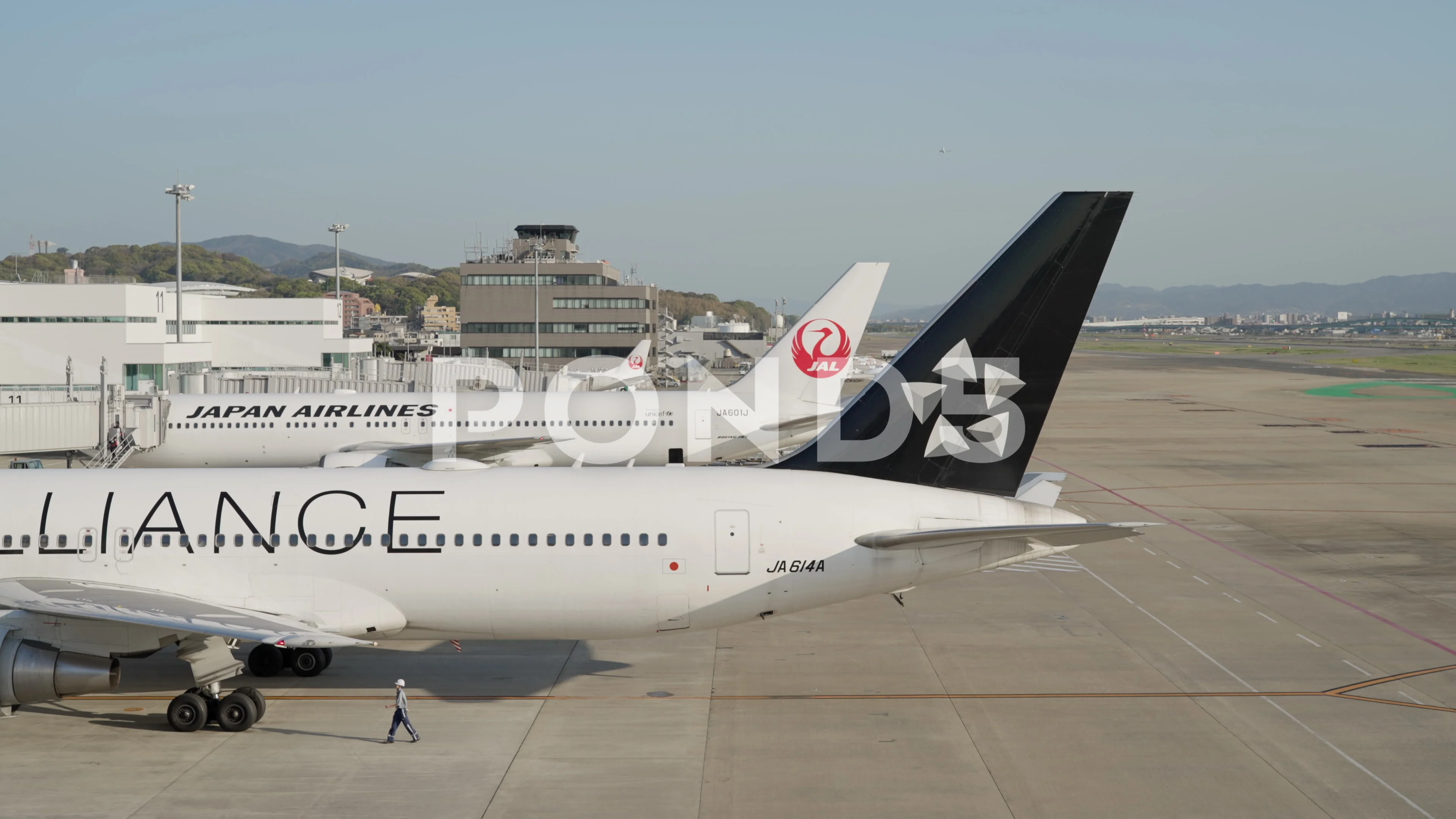 ANA Star Alliance, JAL Boeing 767 Passen | Stock Video