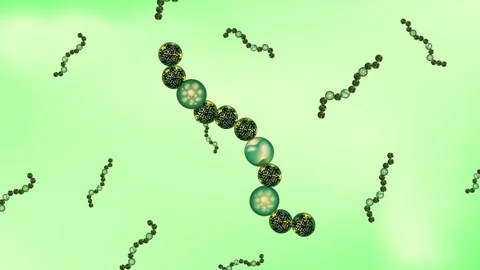 Anabaena filaments in movement Stock Footage 257528904