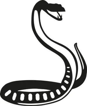Anaconda snake Illustration