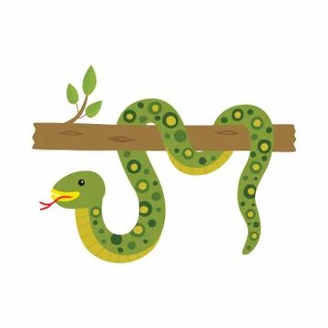Anaconda on a tree. Vector illustration isolated. Illustration