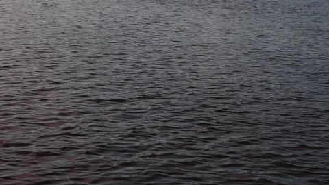 Anacostia River (Washington DC) Stock Footage 87924124