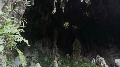 Ana'eo Beautiful Cave with vegetation Stock-Footage 201488932