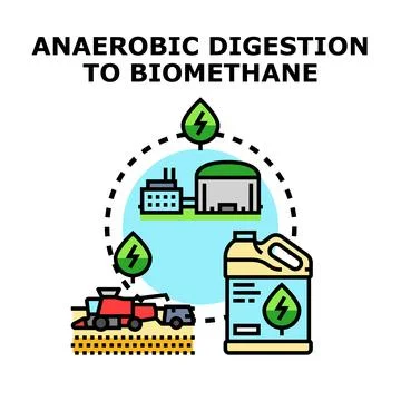 Anaerobic digestion process creating biomethane fuel Stock Illustration
