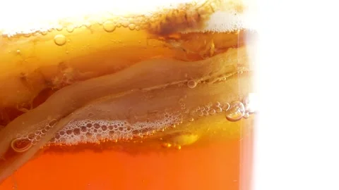 Anaerobic fermentation process of black tea kombucha, the CO2 gas bubbles th Stock Footage 158929655