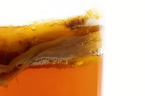 Anaerobic fermentation process of black tea kombucha, the CO2 gas bubbles th Foto stock