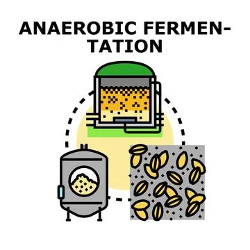 Anaerobic fermentation process producing sustainable bioenergy Stock Illustration