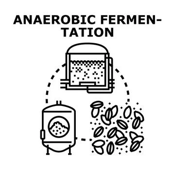 Anaerobic fermentation process producing sustainable bioenergy Stock Illustration