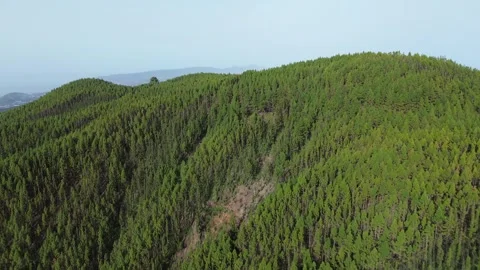 Anaga From the Sky 库存影片 320169073