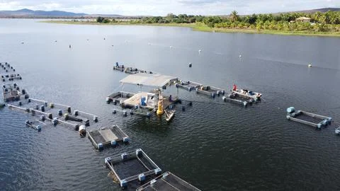 Anage dam Stock Photos