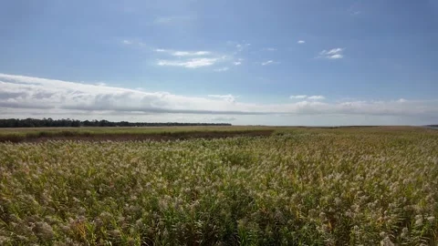 Anahuac, Texas  a small town in Chambers County on the coast of Galveston Bay Stock Footage 323567037