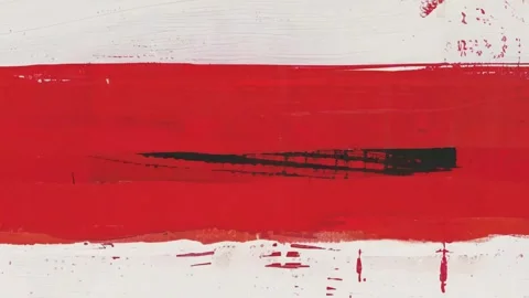 Analog Dynamic Grunge Texture Frame Vidéo 300328579