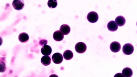 ANALOG FLUID BUBBLE LIQUID WAVE LOOP Stock Footage 88960683