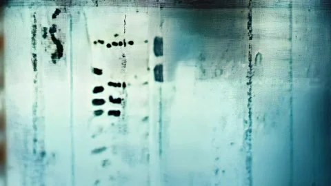 Analog Noisy Grunge Texture Backdrop Stock Footage 299827278