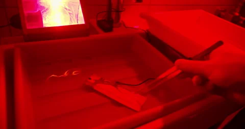 Analog photography darkroom process with test strip development Stock Footage 330903983