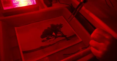 Analog photography print development using chemical trays in darkroom Stock Footage 326224371