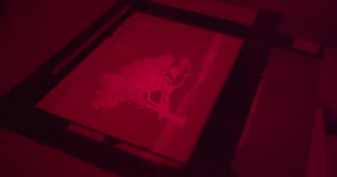 Analog photography printing process with focus adjustment and image framing 스톡 동영상 328142213
