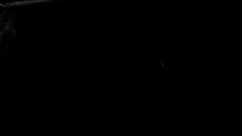 Analog Seamless Grunge Texture Background Stock Footage 296099641